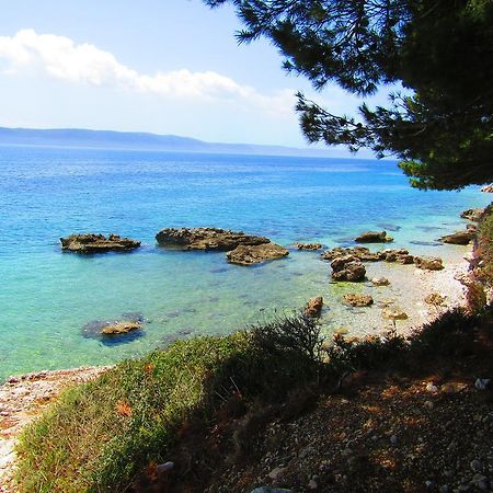 Victoria Cottage Camping Dole Blato  外观 照片